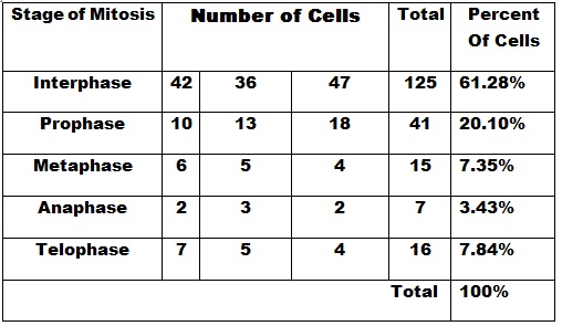 Mitosis Result